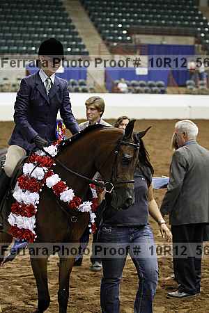 Proof Number 10r12_5646