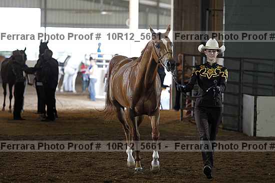 Proof Number 10r12_5661