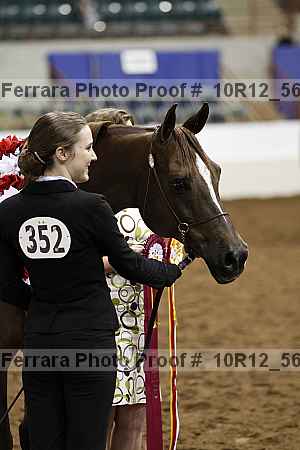 Proof Number 10r12_5679