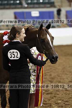 Proof Number 10r12_5680