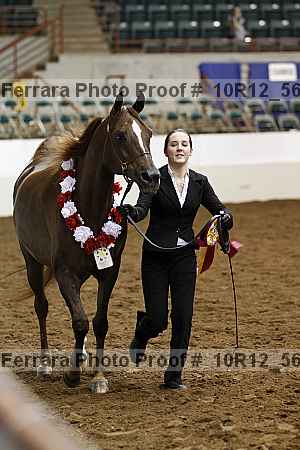 Proof Number 10r12_5691