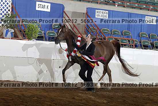 Proof Number 10r12_5693