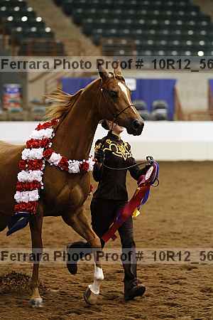 Proof Number 10r12_5696