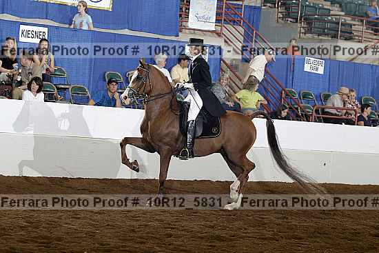 Proof Number 10r12_5831