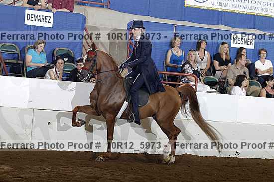 Proof Number 10r12_5973