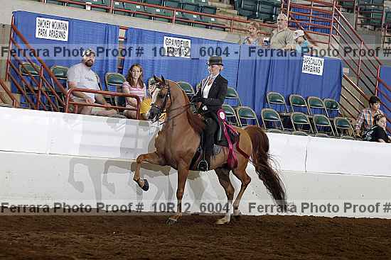 Proof Number 10r12_6004
