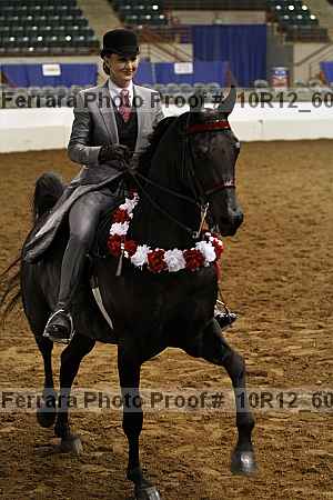 Proof Number 10r12_6007