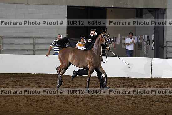Proof Number 10r12_6046