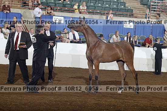 Proof Number 10r12_6054