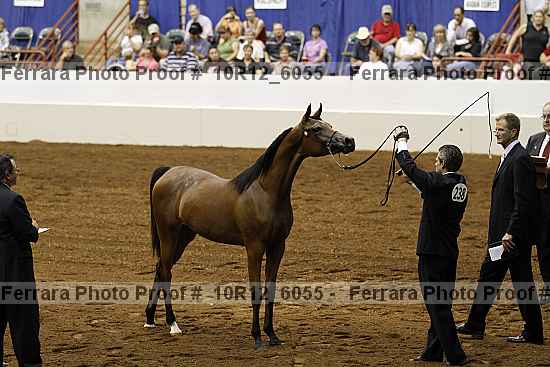 Proof Number 10r12_6055