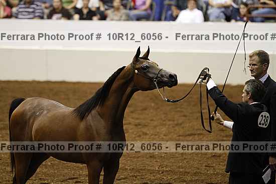 Proof Number 10r12_6056