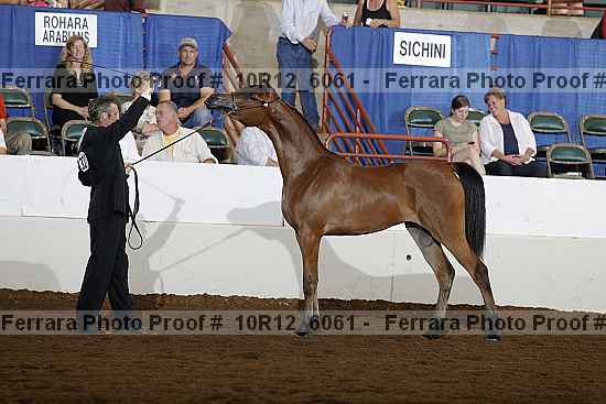 Proof Number 10r12_6061