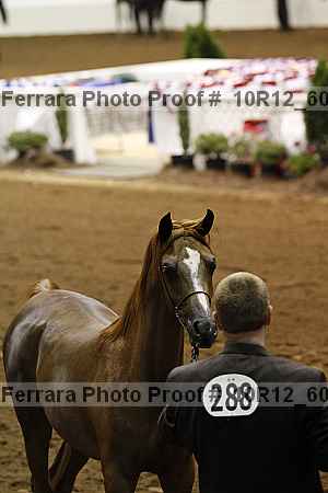 Proof Number 10r12_6066