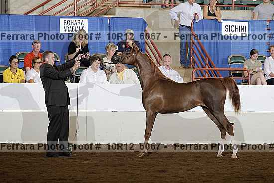 Proof Number 10r12_6067