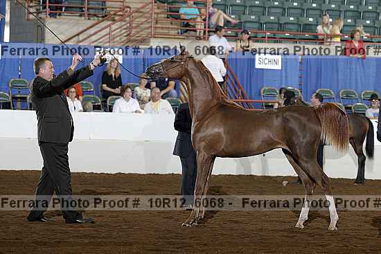 Proof Number 10r12_6068