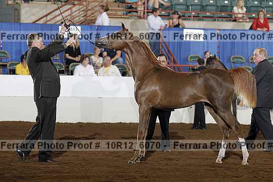 Proof Number 10r12_6070