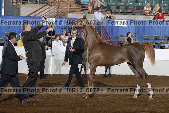 Proof Number 10r12_6072