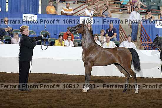 Proof Number 10r12_6083