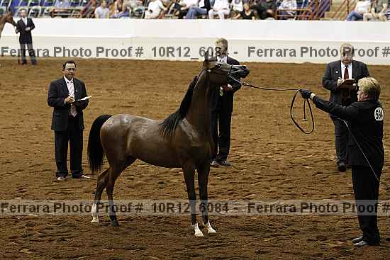 Proof Number 10r12_6084