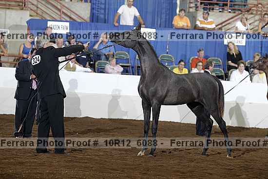 Proof Number 10r12_6088