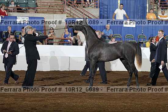 Proof Number 10r12_6089
