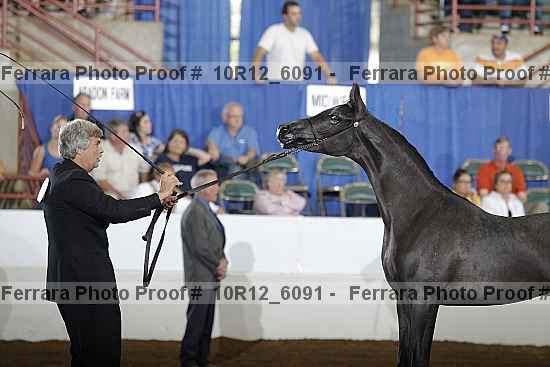 Proof Number 10r12_6091