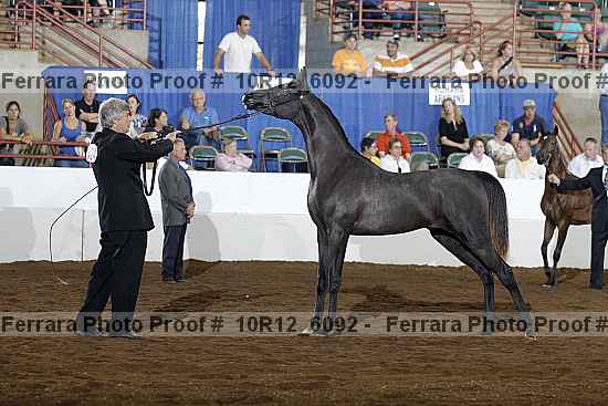 Proof Number 10r12_6092