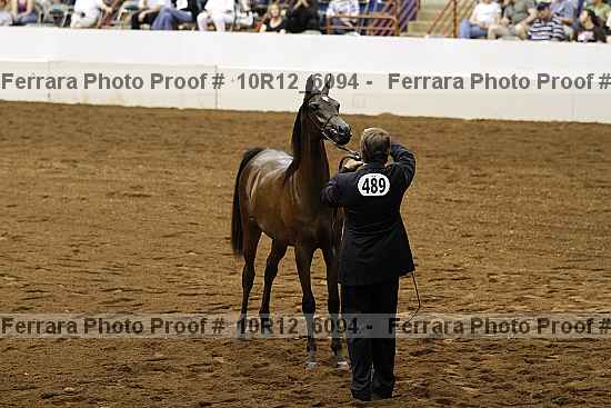 Proof Number 10r12_6094