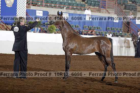Proof Number 10r12_6096