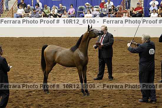 Proof Number 10r12_6100