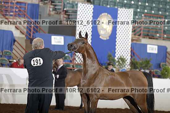 Proof Number 10r12_6102