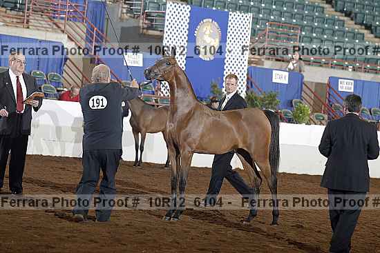Proof Number 10r12_6104