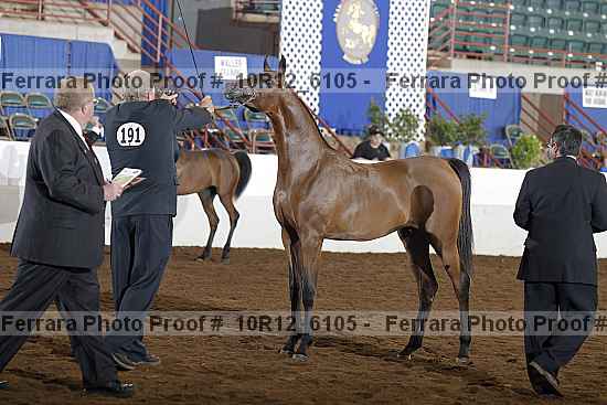 Proof Number 10r12_6105