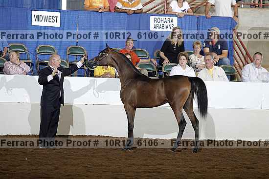 Proof Number 10r12_6106