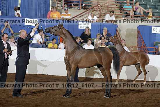 Proof Number 10r12_6107