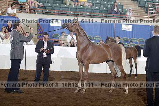 Proof Number 10r12_6111