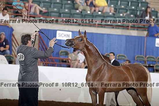 Proof Number 10r12_6114