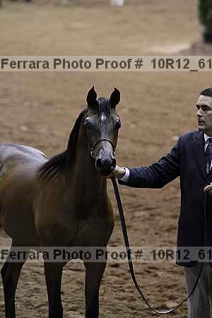 Proof Number 10r12_6117