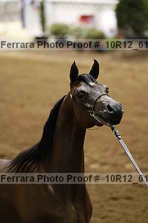 Proof Number 10r12_6118