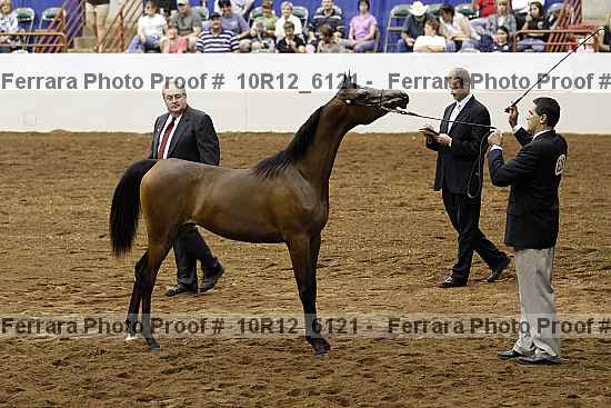 Proof Number 10r12_6121