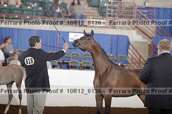 Proof Number 10r12_6126