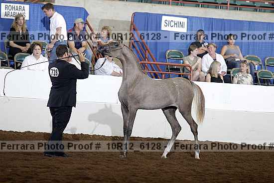 Proof Number 10r12_6128