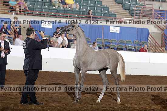 Proof Number 10r12_6129