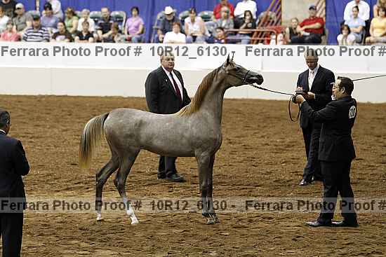 Proof Number 10r12_6130