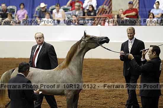 Proof Number 10r12_6132