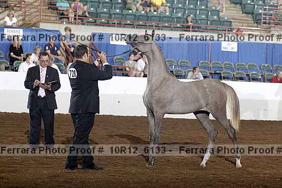 Proof Number 10r12_6133