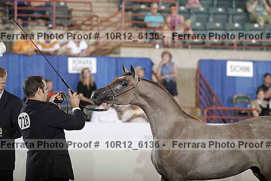 Proof Number 10r12_6136