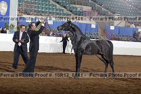 Proof Number 10r12_6141