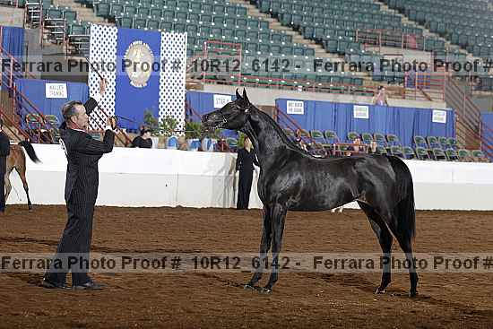 Proof Number 10r12_6142