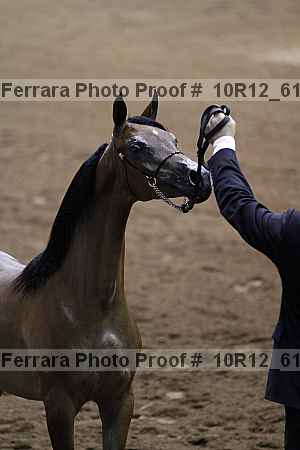 Proof Number 10r12_6145
